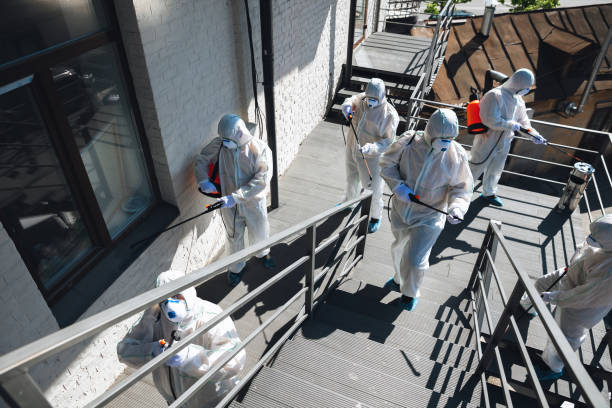 Best Biohazard Mold Removal  in Independence, KY