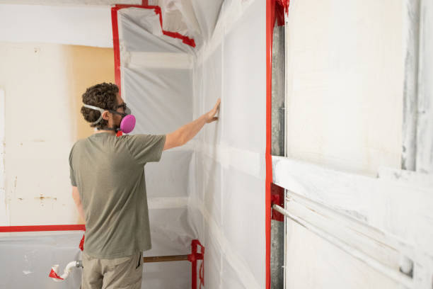 Reliable Independence, KY Mold Removal Solutions