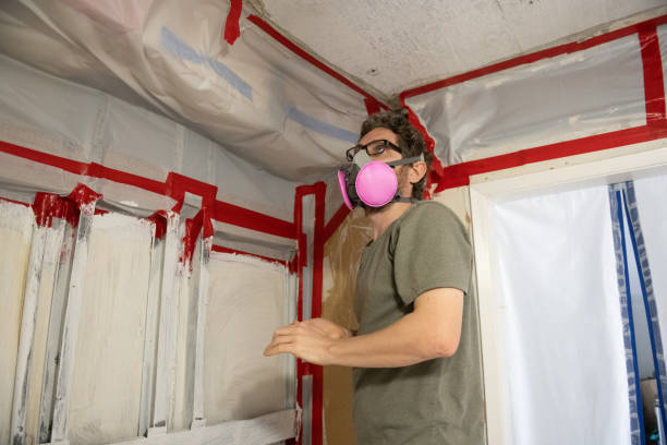 Best HVAC Mold Inspection and Cleaning  in Independence, KY